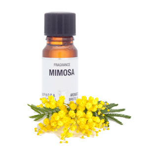 Mimosa Fragrance 10ml